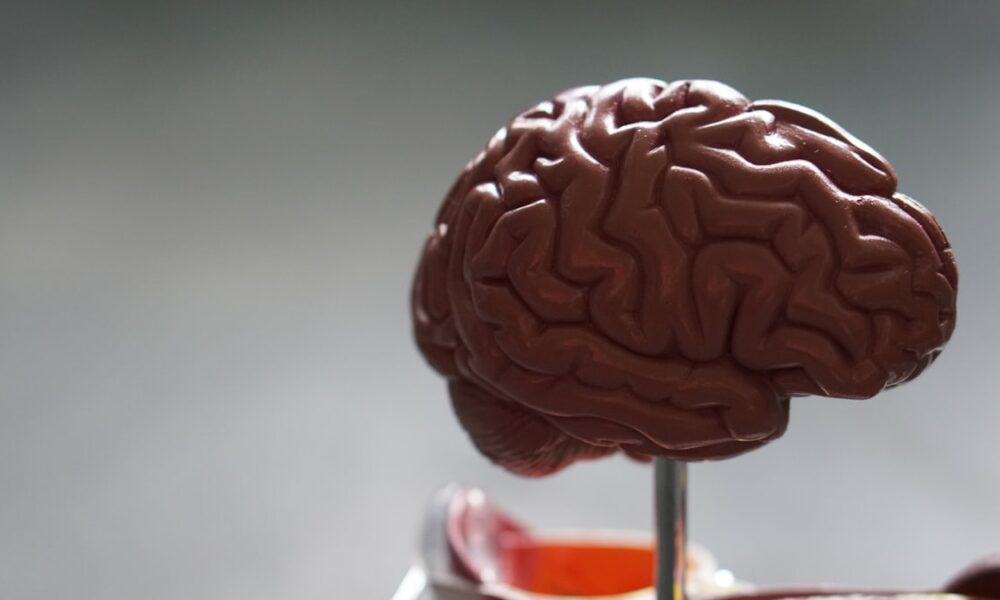 Interface cerveau-machine neurosciences technologie