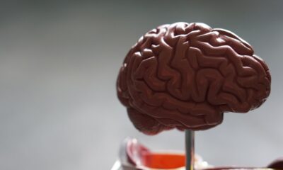 Interface cerveau-machine neurosciences technologie