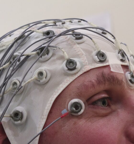 Un casque d’électroencéphalographie (EEG) posé sur la tête d’un participant